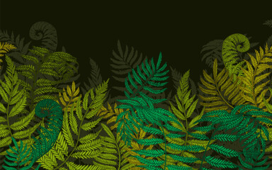 Seamless horizontal vector pattern of fern bushes © Viktoriia Holovko