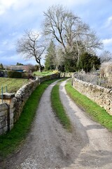 Fototapeta na wymiar Farm track between stone walls with trees behind. Derbyshire, England, UK. October 2023. 