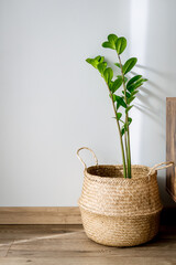 A walrus grass pot with a green decorative flower against a gray wall.