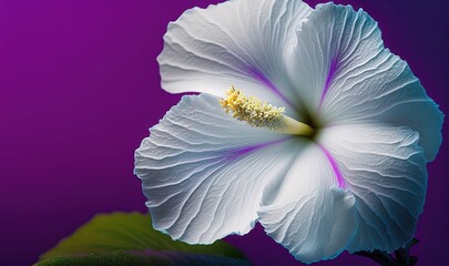  a large white flower with a purple center on a purple background.  generative ai