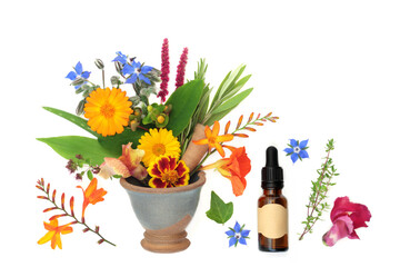 Healing flowers and herbs used in natural alternative herbal flower remedies in a mortar with...