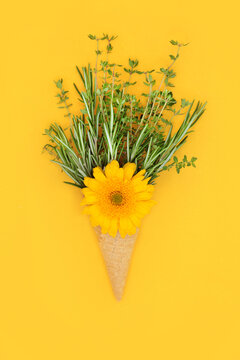 Surreal Summer Ice Cream Cone Concept with Herbs and Edible Flower