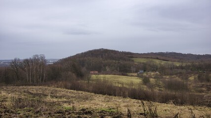 Wola Forest, a perfect place for a weekend walk. There are several dozen kilometers of walking paths and hiking trails leading through a wild, forest landscape