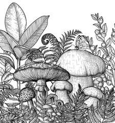 Vector illustration of a mushroom forest. Fly agaric, honey agaric, porcini mushroom surrounded by plants