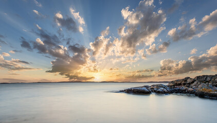 Close up off reed on Swedish beach during sunset