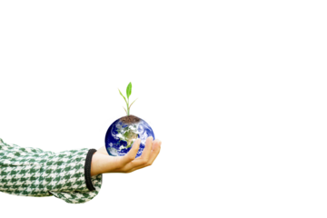 World Environment Day. Earth and trees in human hands.