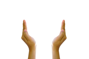 World Environment Day. Human hands are protecting something.