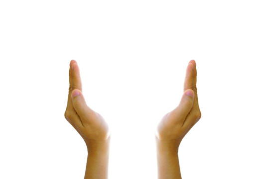 World Environment Day. Human hands are protecting something.