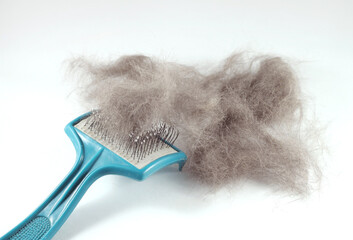 A lump of cat hair and a comb for combing hair. White isolated background. Pet care.