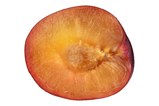 Red plum half