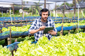 Smart farmer wearing head phone enjoy listen music and morning walk checking growth vegetable plant