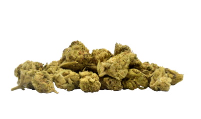 Close up of cannabis flower, clearly visible details isolated from background, cutout background png, marijuana flower with flower and transparent background shadow.