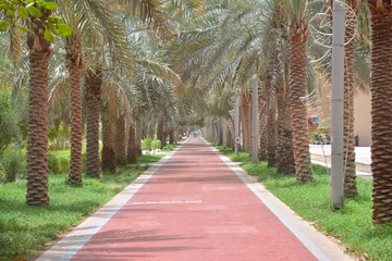 Foto op Plexiglas Palmenallee Dubai Palme © christian-boehme.com