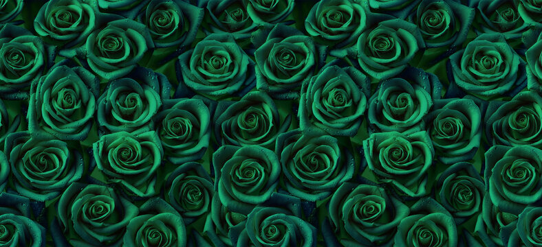 Roses in dark green color, horizontal seamless pattern. Roses arrangement with dark green and blue flower buds.
