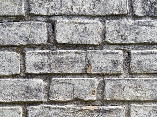 White Brick wall - July 2022
