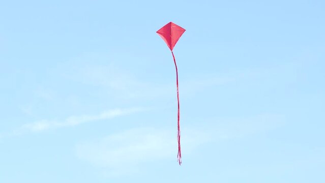 Red Kite in Slow Motion