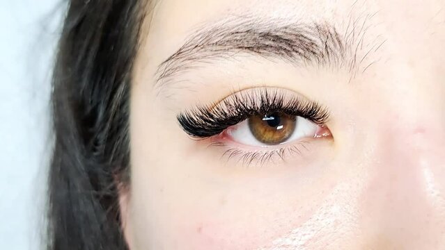 Close up of eye with eyelash Extensions in beauty salon, mega russian volume