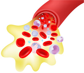 Biology of the Blood Vessels.
