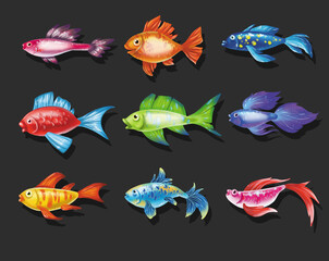 Colored cute sea fish. cartoon set of freshwater
  aquarium characters isolated on black background. Varieties of decorative underwater  popular colored fish for print, children development
