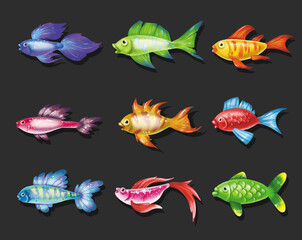 Colored cute sea fish. cartoon set of freshwater
  aquarium characters isolated on black background. Varieties of decorative underwater  popular colored fish for print, children development
