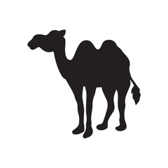 silhouette of a camel in the desert
