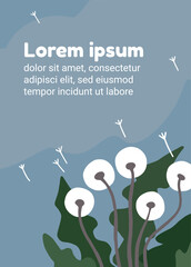 Postcard with summer dandelions on blue background. Seeds flying off the white flowers.