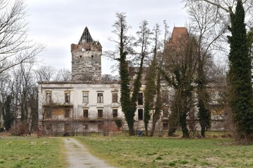 Fototapeta na wymiar Schlossruine Pottendorf Österreich, 07.03.2023