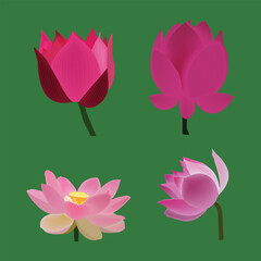 Lotus flower avatar vector art illustration