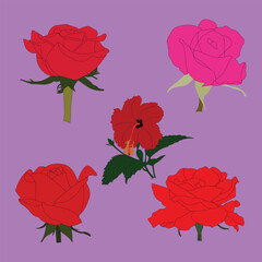 Rose flower avatar vector art illustration