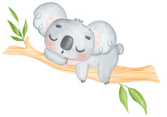 Cute Fuzzy-Eared innocence baby Koala on a tree branch watercolour Illustration