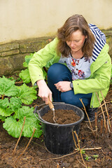 Spreading home made compost on the vegetable patch.