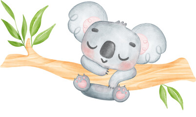 Cute Fuzzy-Eared innocence baby Koala on a tree branch watercolour Illustration