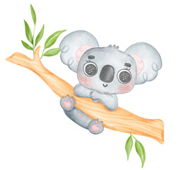 Obraz premium Cute Fuzzy-Eared innocence baby Koala on a tree branch watercolour Illustration