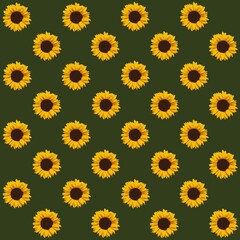 Seamless pattern with sunflowers