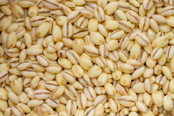 Close up of pearl barley