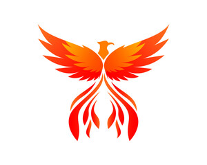 Illustration of phoenix logo