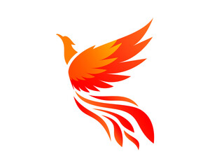 Flying phoenix vector illustration logo