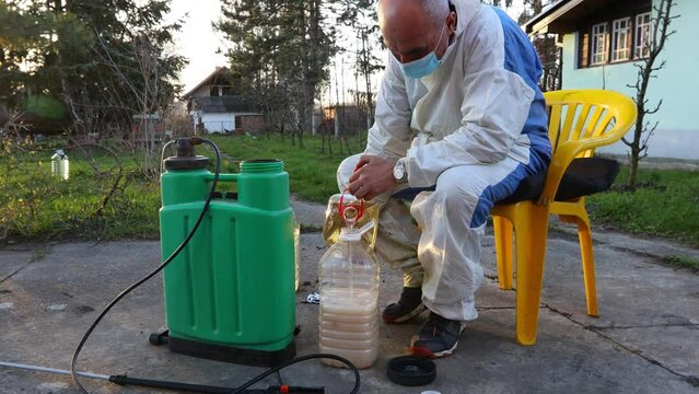 Gardener is preparing suitable mixture of water and concentrated amount of extract from small bag in proper scale, botanical solutions of pesticide, fungicide, for sprinkling fruit trees early spring.