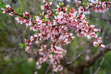 bullas salto del usero