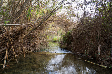 bullas salto del usero