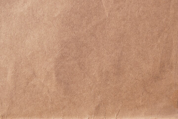 A paper sheet texture: an old clean page with signs of aging, sepia faded color, nostalgic stupendous vibes.
