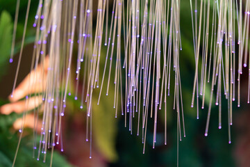 Close-up view of the colorful LED stripes