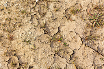 Cracked Dry Earth: Illustrating the Effects of Drought