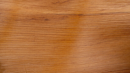 Fototapeta premium Background and textured above view of inner stalk pattern of betel leaf branches.