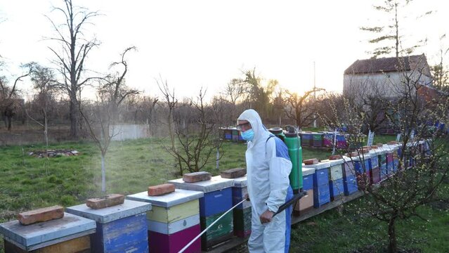 Farmer in protective clothing sprays fruit trees in orchard using long sprayer to protect them with chemicals from fungal disease or vermin at early springtime, near bee colony, apiary