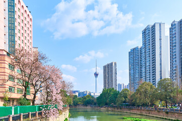 Looking at the Chengdu TV Tower from afar © kody_king