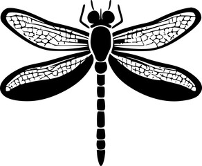 Dragonfly - Black and White Isolated Icon - Vector illustration