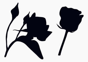 Real modern silhouettes plants, herbs. Drawing flowers begonia. Bud rose
