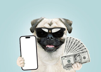 Funny successful happy pug dog in sunglasses holds money and a smartphone. Investment and business...