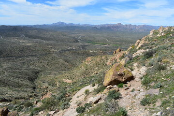 Fototapeta na wymiar Spring in the Superstition Mountains, View off Picketpost Mountain 